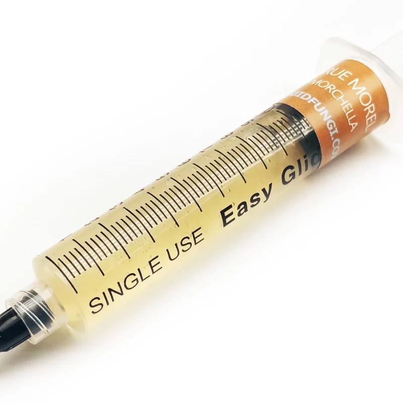Morel Liquid Culture Syringe Lost In The Ozarks
