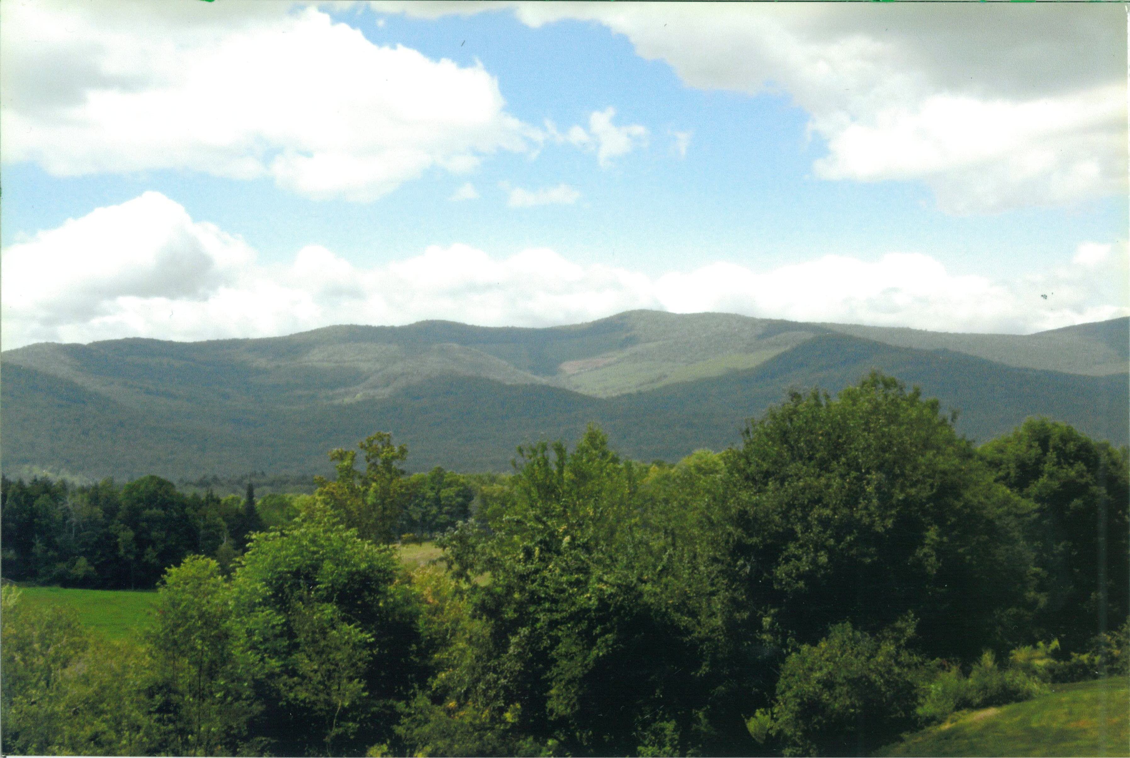 What's in a Name? Lost Nation Theater