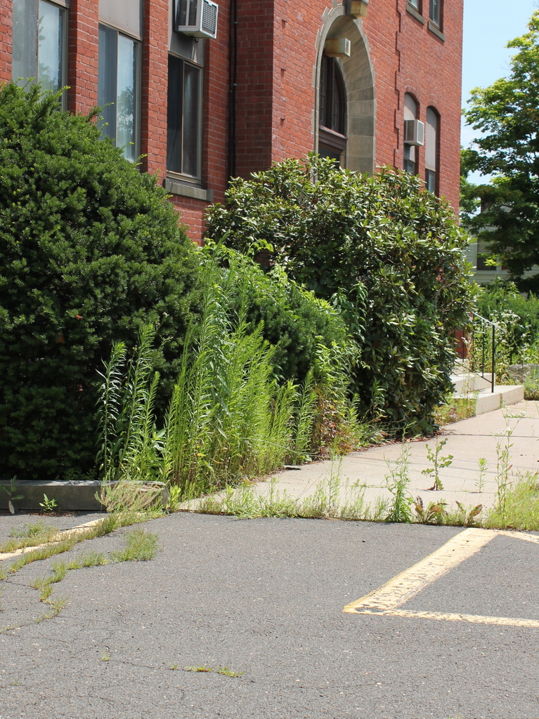 Beecher Street School, Southington, Connecticut (1) Lost New England
