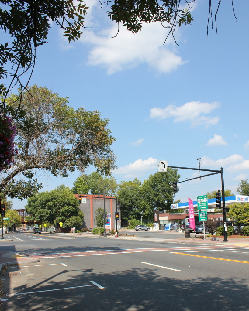 Whip Factories on Elm Street, Westfield, Mass Lost New England