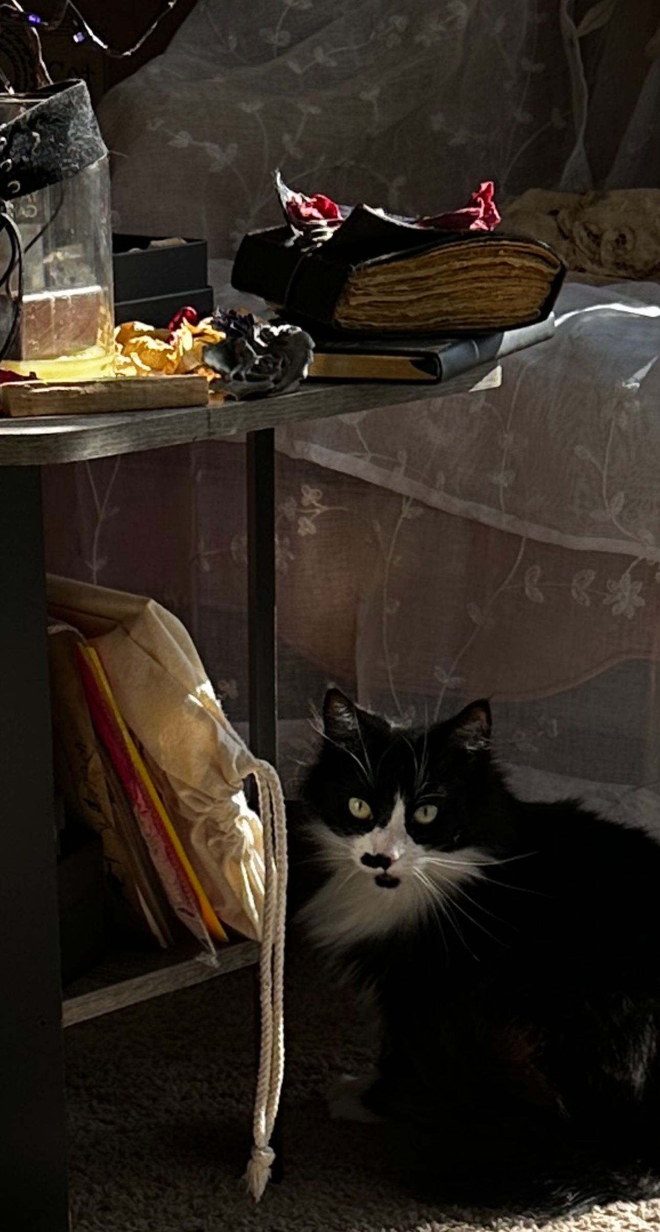 Mercury from Dover Plains ( ️ Sponsored by Ulster Savings Bank) Lost