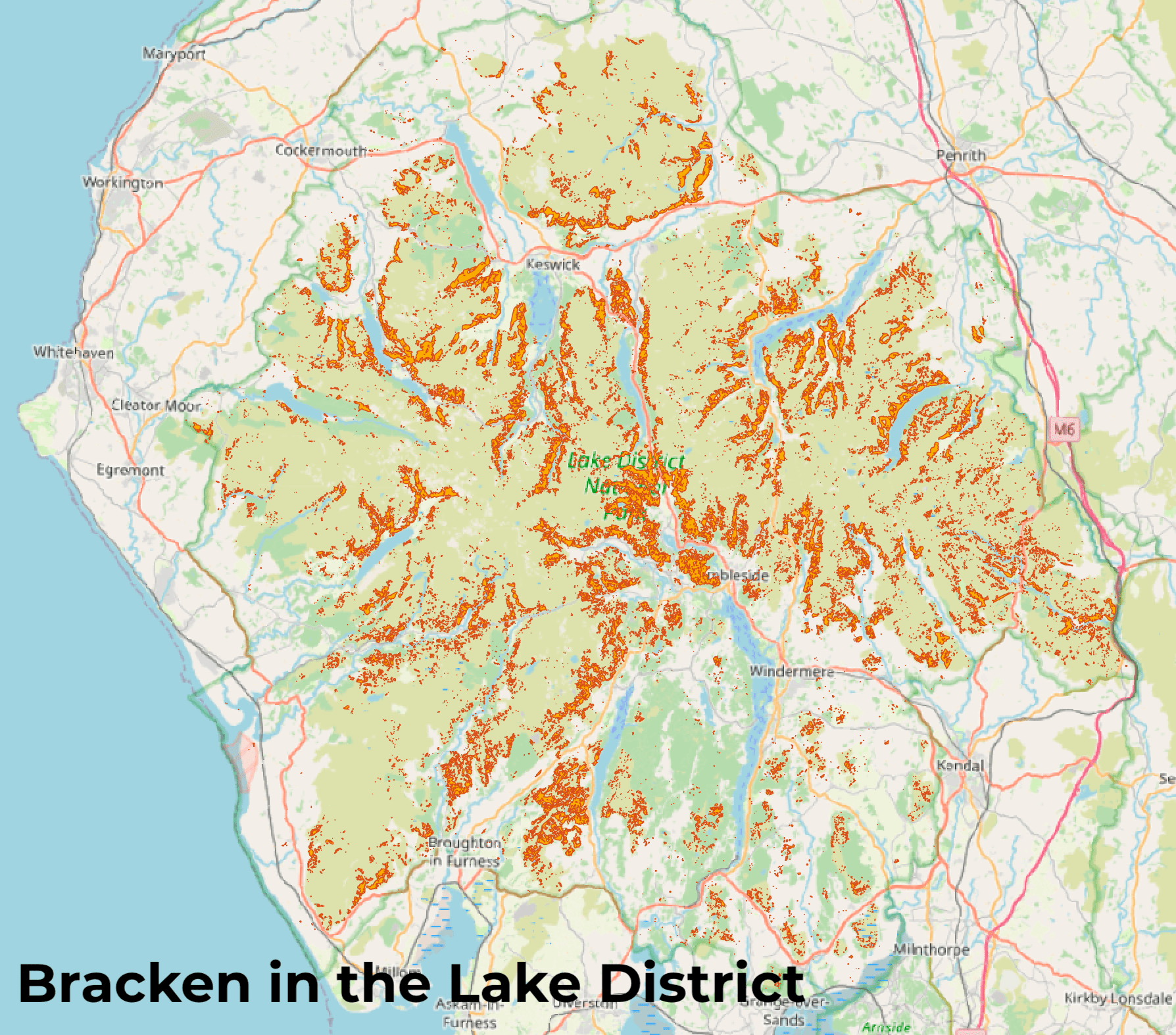 Using bracken maps as a guide for regenerating rainforest Lost