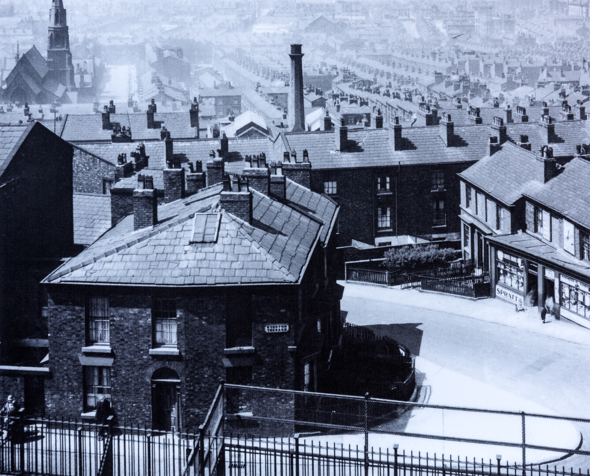 Everton Terrace Lost Tribe of Everton