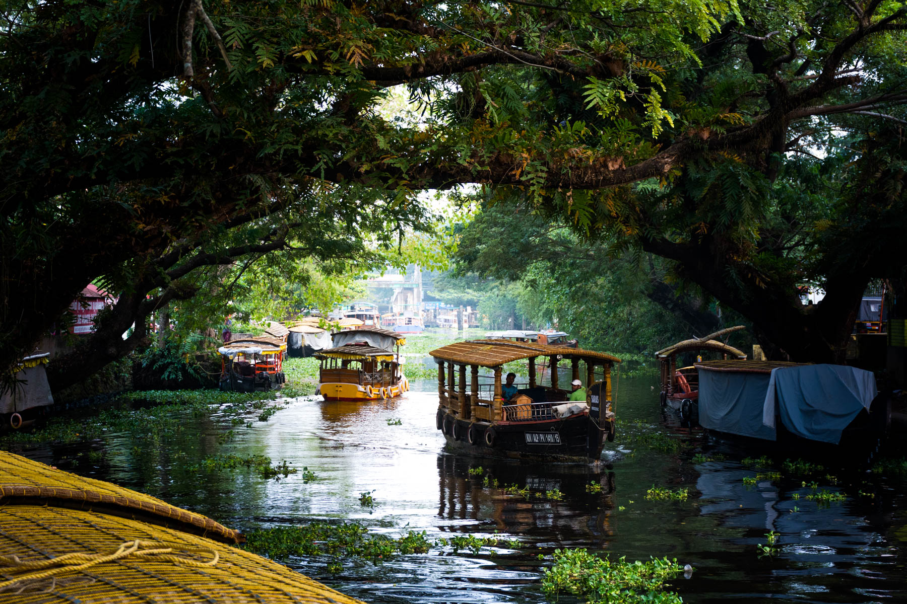 Guide To The Alleppey Backwaters In Kerala Lost With Purpose