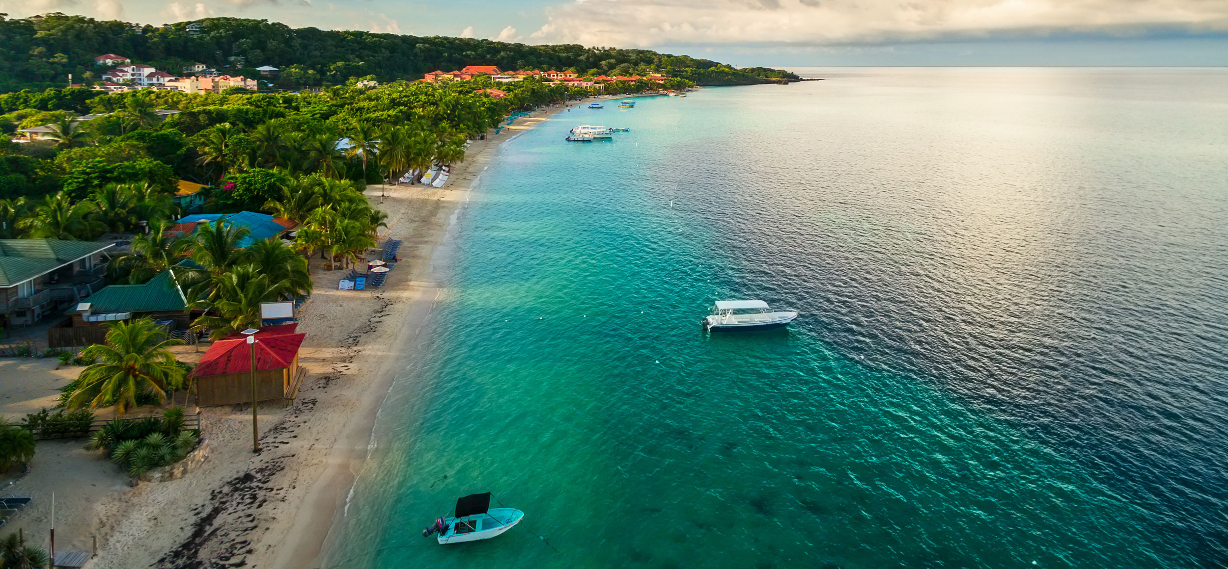 La Ceiba / Pico Bonito National Park