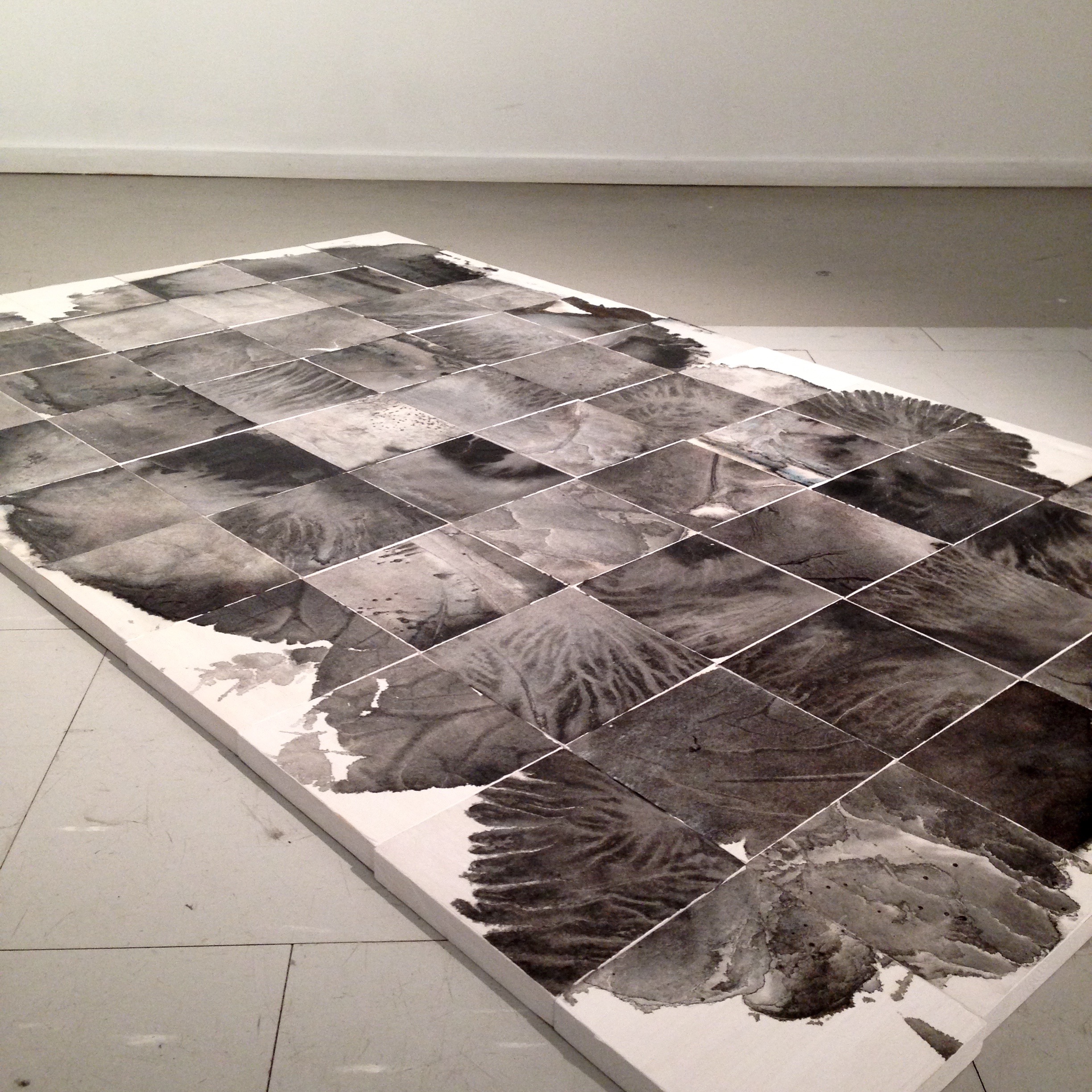 Indian ink artists flyingnibht