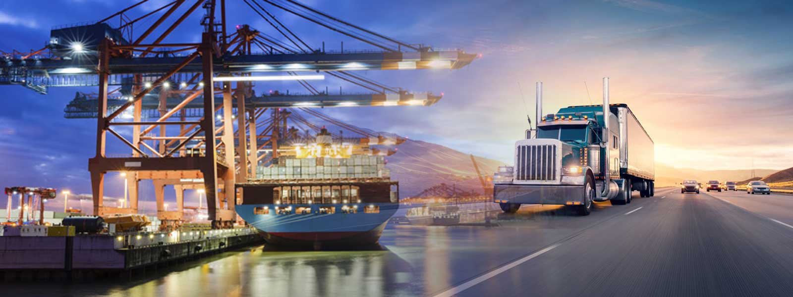 Lotus International Impex