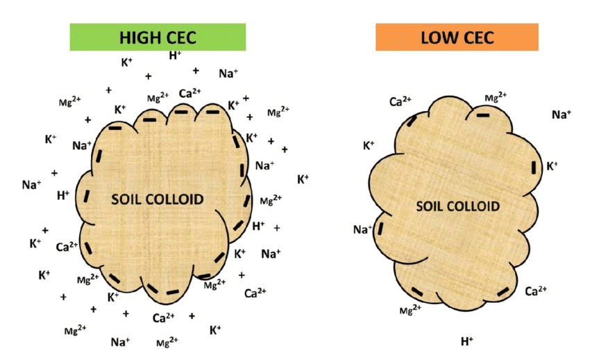 Properties Of Soil Physical, Chemical & Biological UPSC