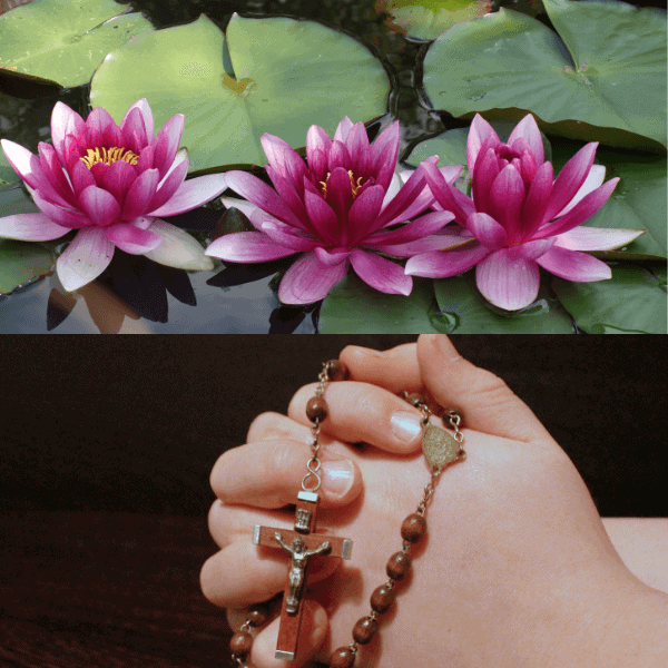 Lotus Flower Meaning in Christianity Strength(Does It Means) Lotus
