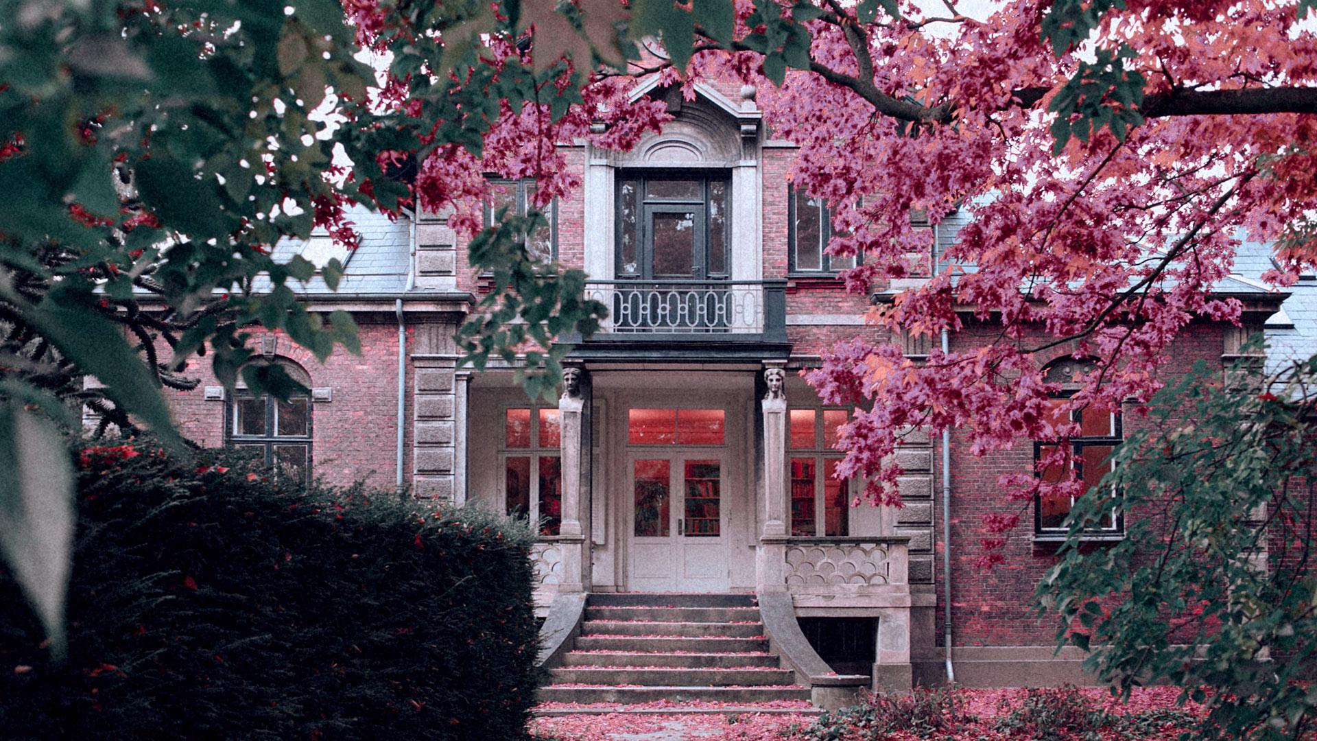 About Lotus Real Estate