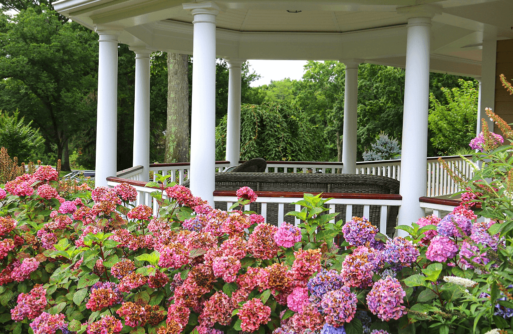 Blogs Louis Contino Landscaping Landscape Architect near me US