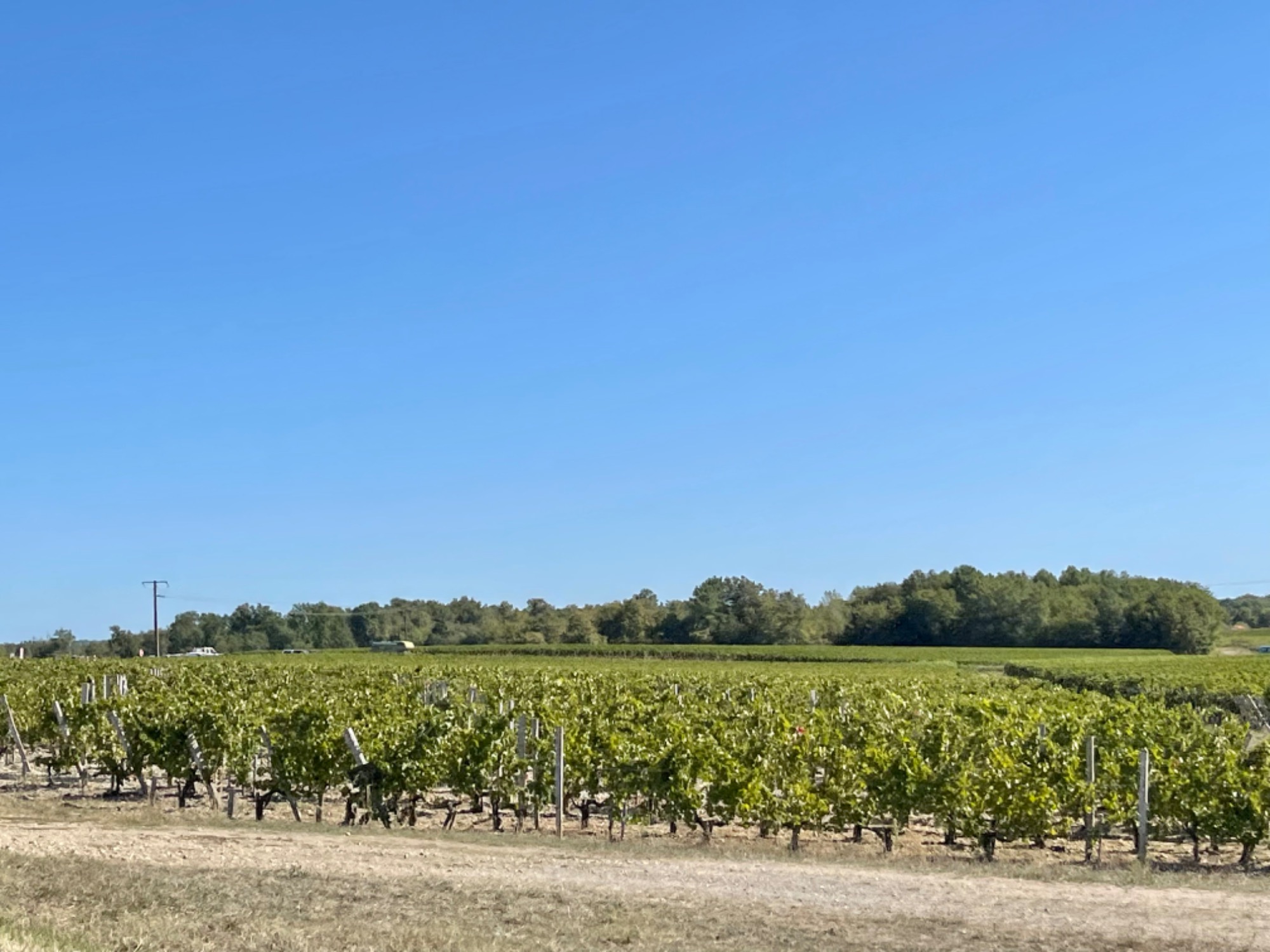 La magnifique région de Bordeaux et ses vignobles en croisière fluviale