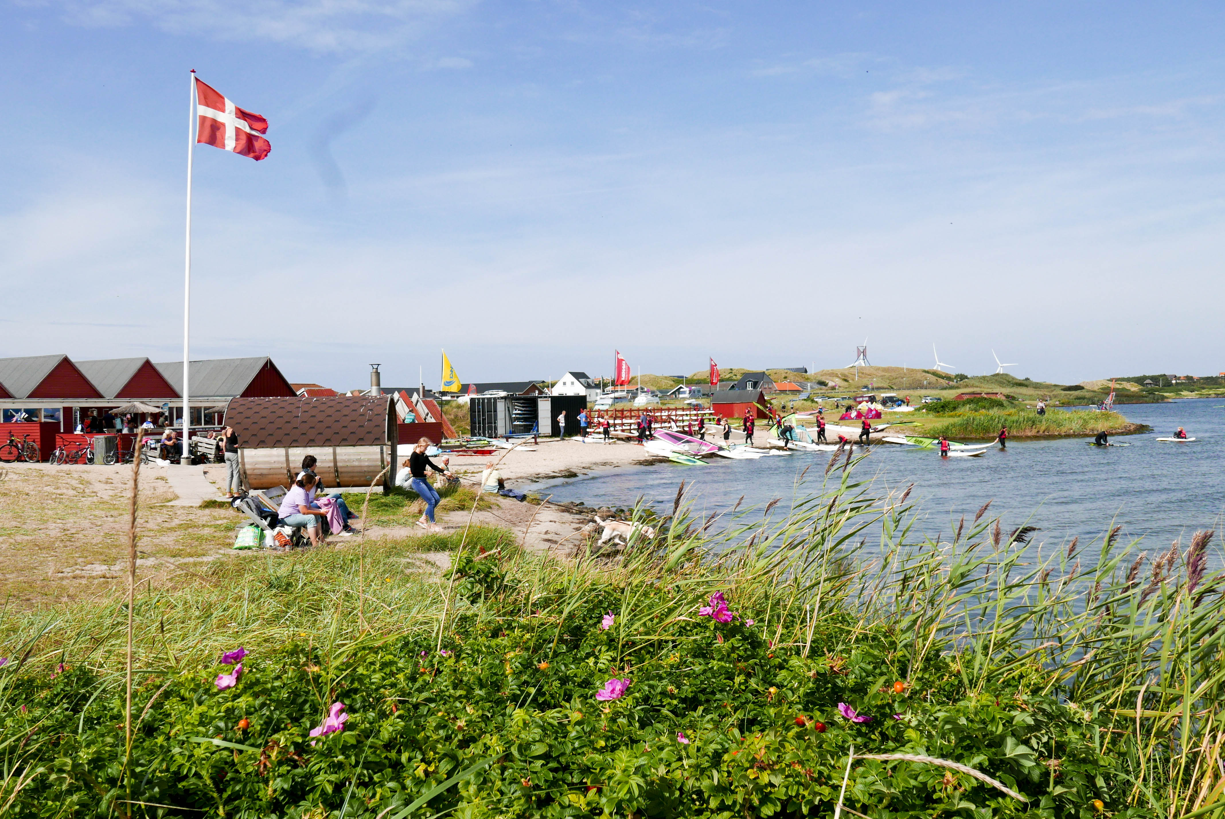 Going back to my roots a visit to Denmark's beautiful countryside