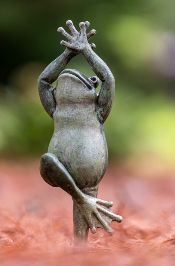 Atrazine Hermaphrodite Frogs, Water Contamination, and Maybe Cancer