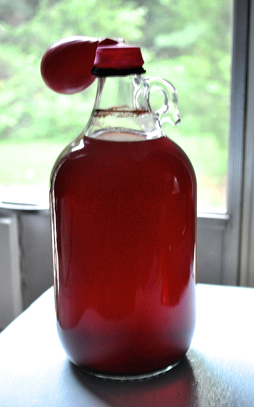 Adventures in Wine Making A Small Life