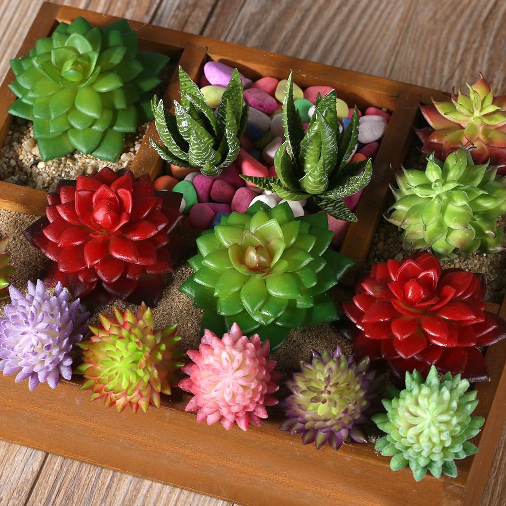 صور نباتات الزينة , ارق صور للنباتات الزينه رسائل حب