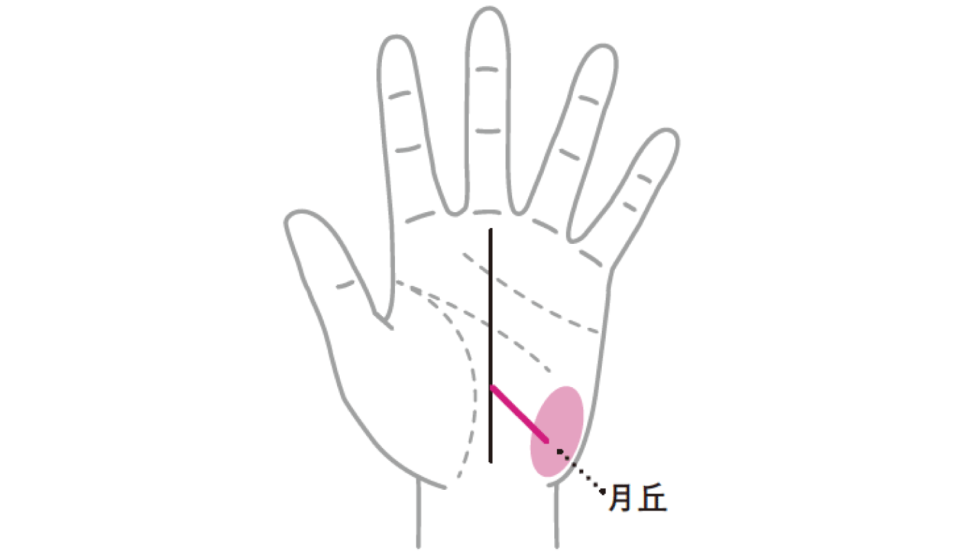突然の出会いから電撃結婚をする可能性がある『影響線』とは！？【手相の教科書】