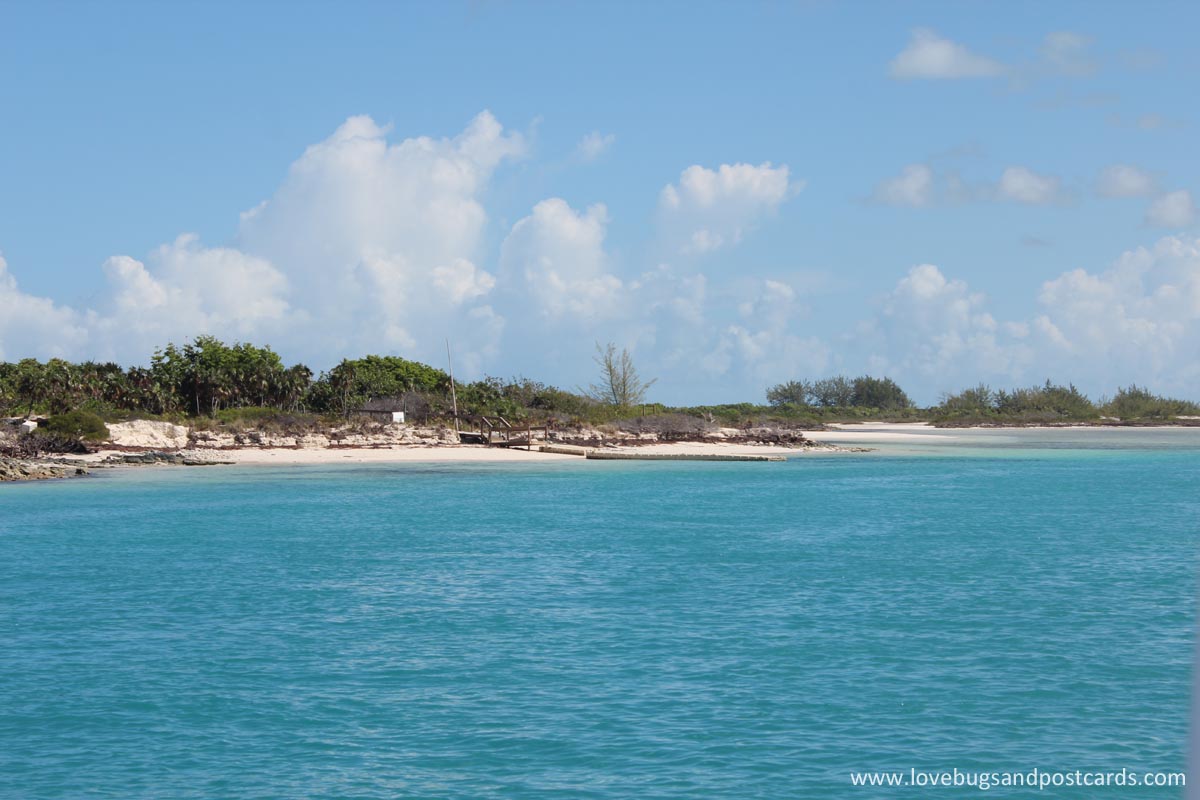 Little Water Cay (Iguana Island) Turks & Caicos
