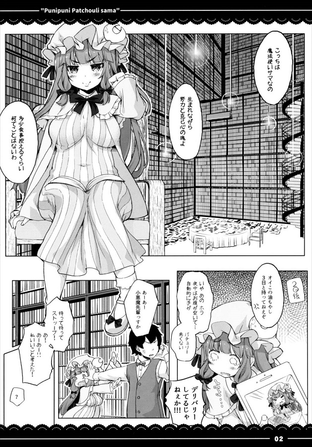 パチュリー ノーレッジ 3枚目