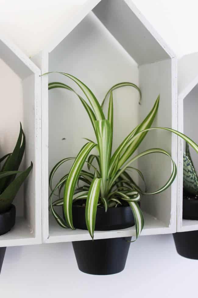 DIY Hanging Wall Planters Love Create Celebrate