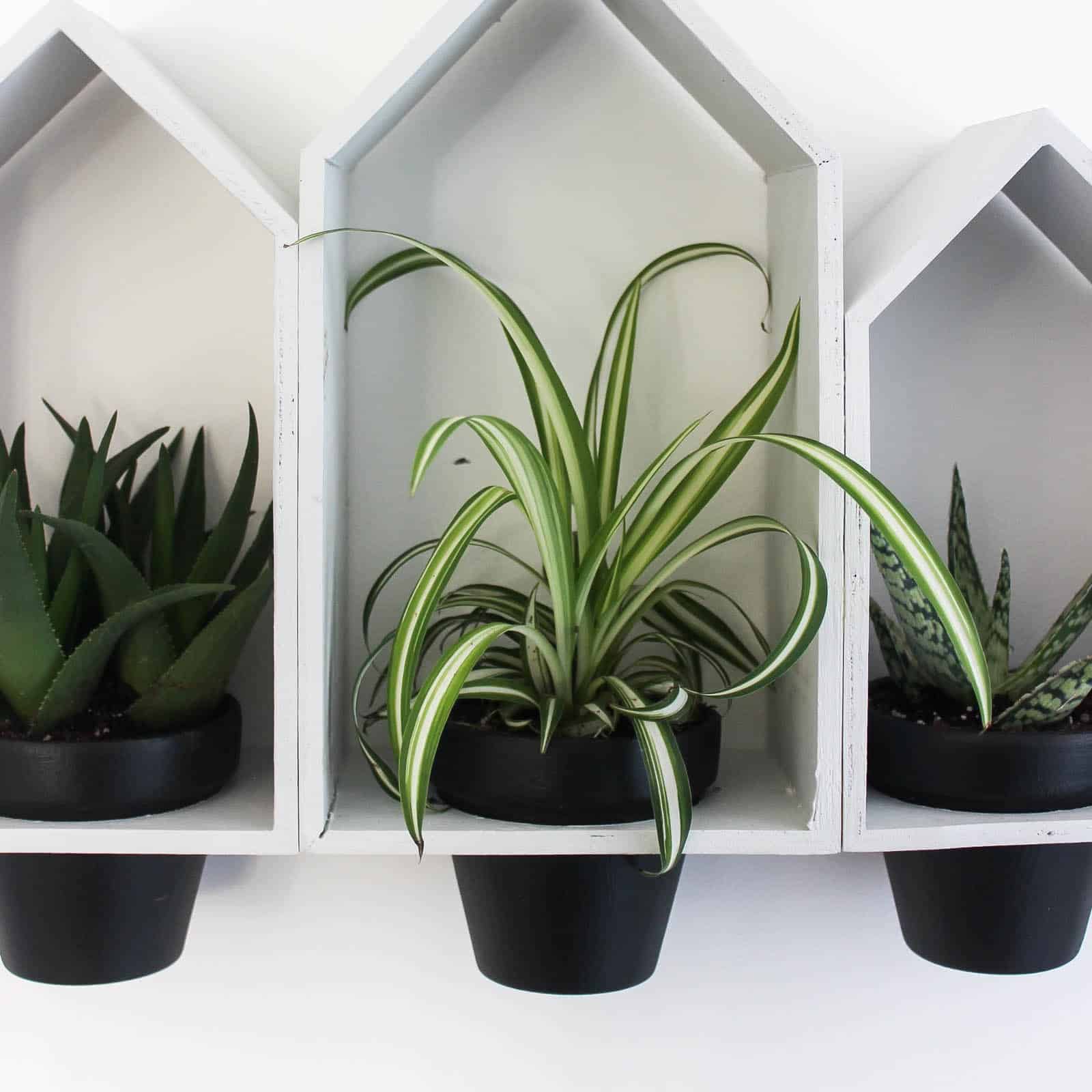 DIY Hanging Wall Planters Love Create Celebrate