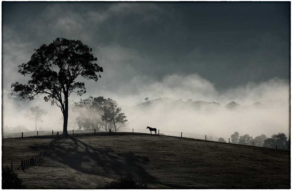 People and Places Photography Exhibition Lovedale Hunter Valley