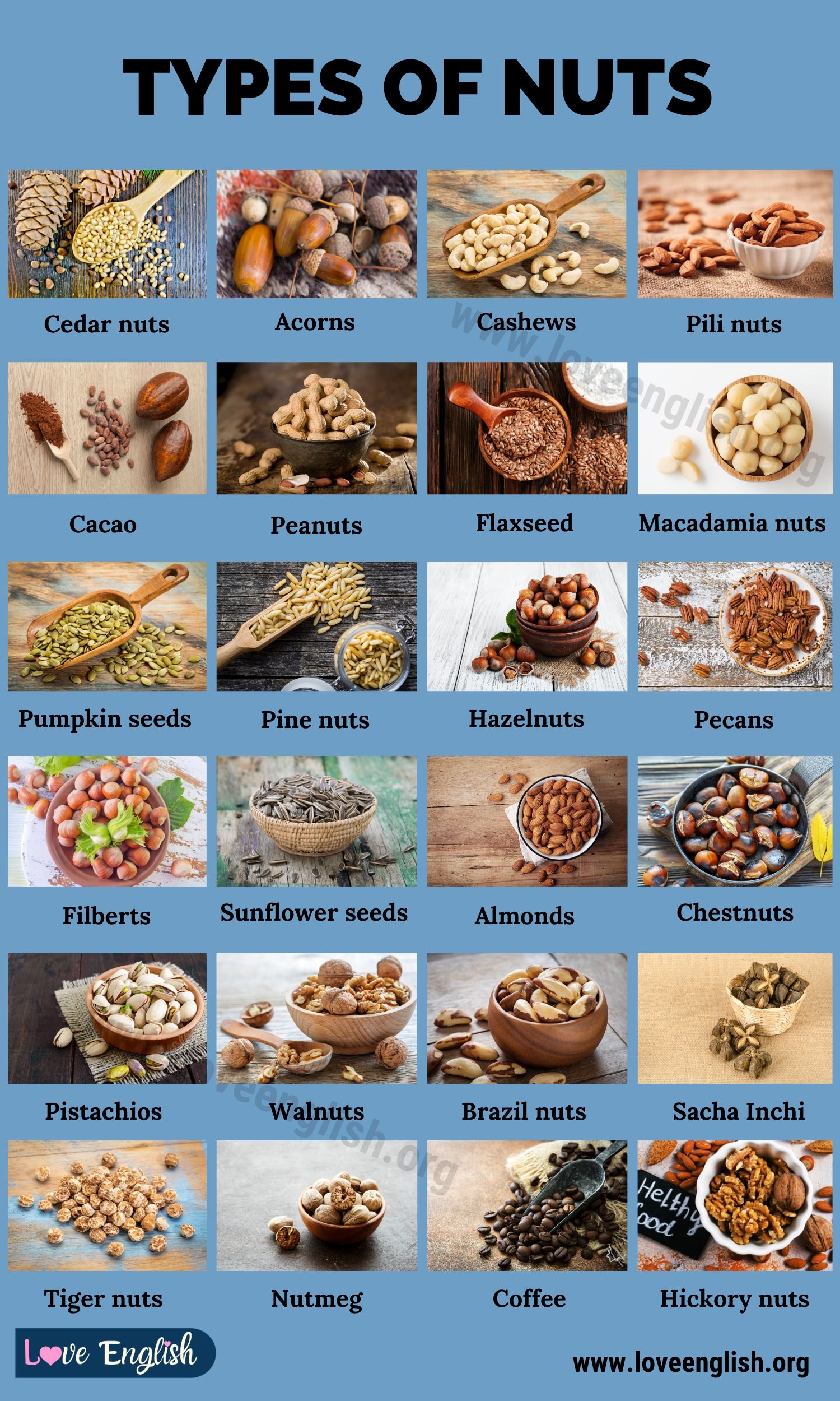 Types of Nuts 25 Different Types of Nuts You Should Be Eating Love