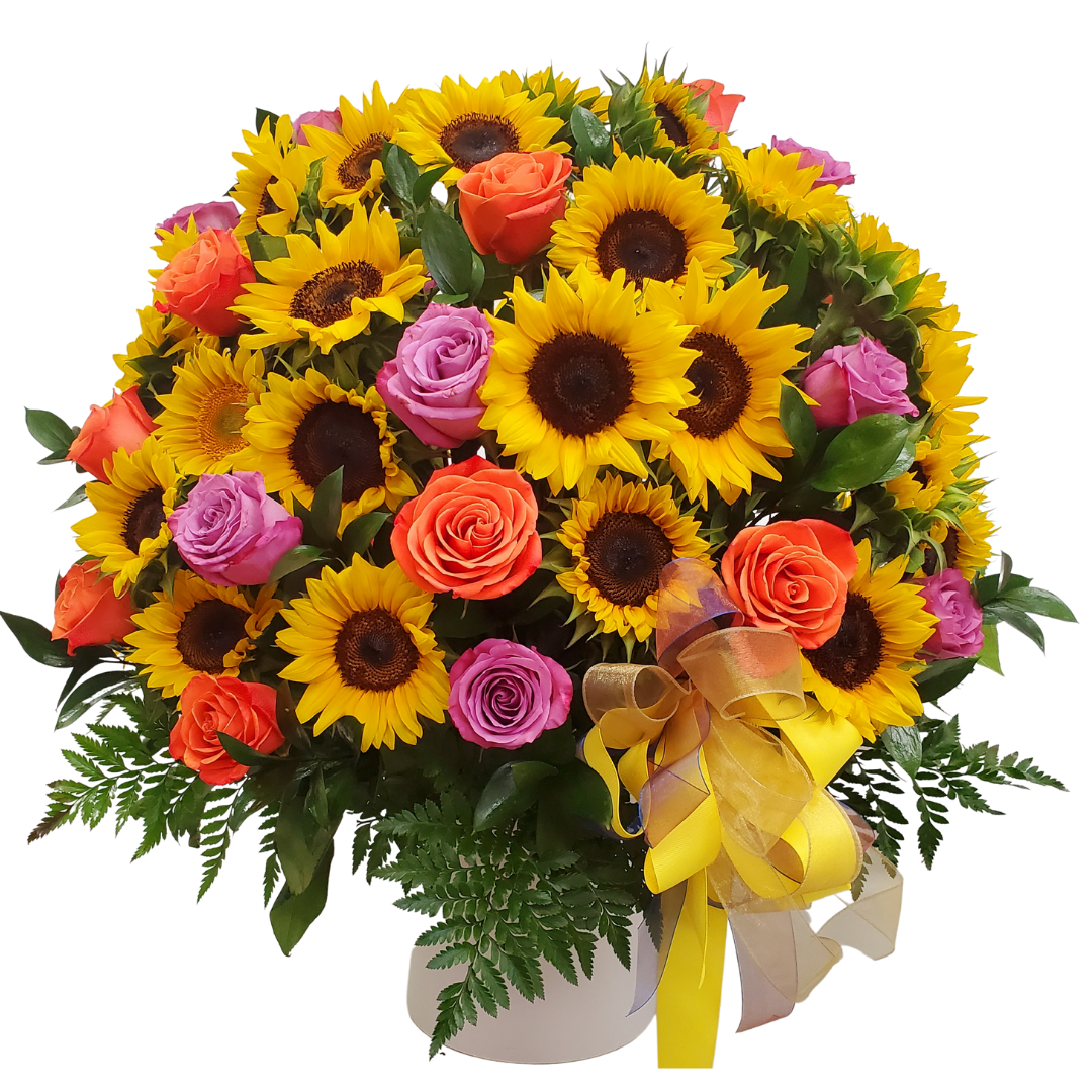 037 Special Sunshine Love Flowers Miami