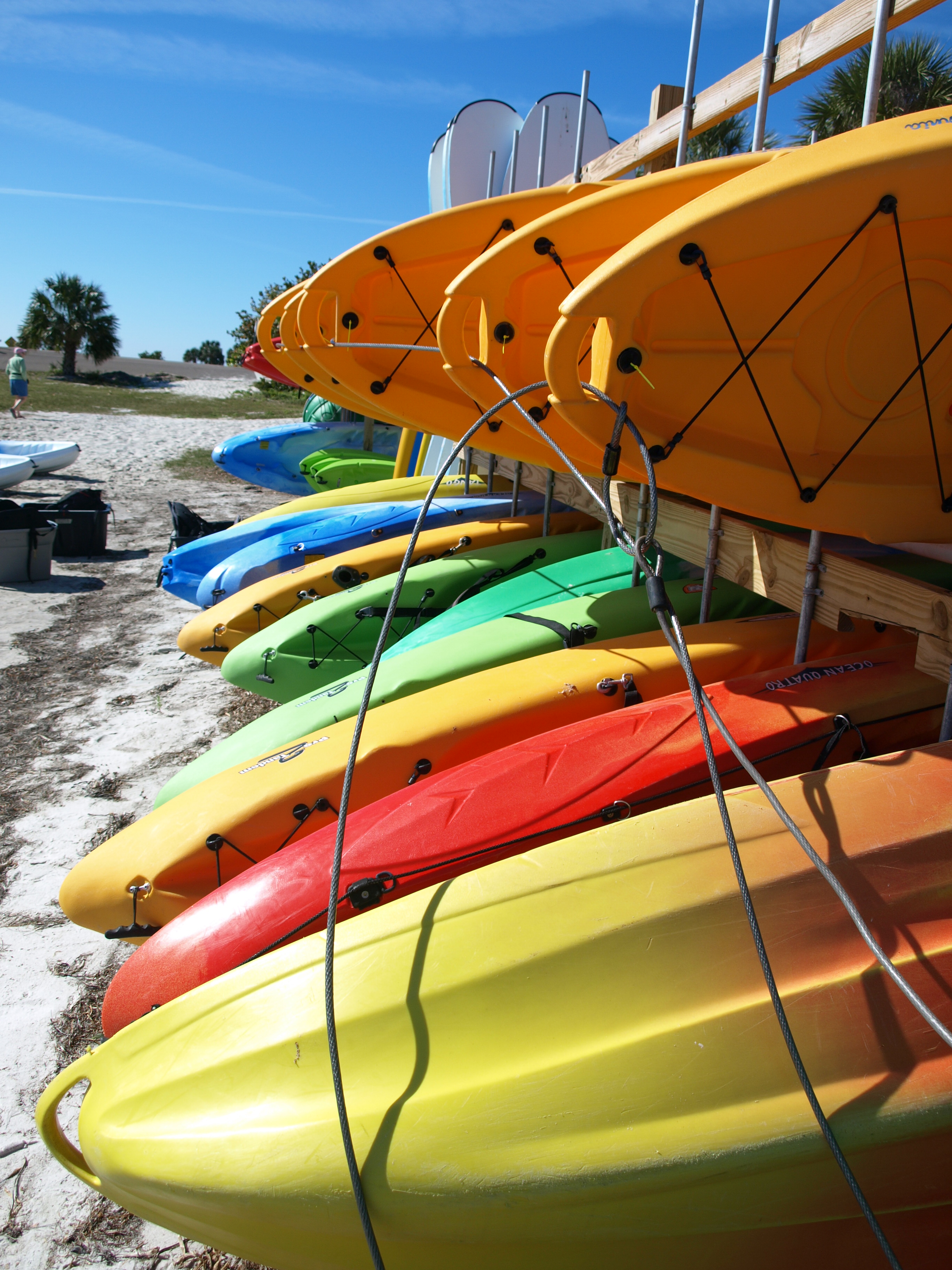 Touring Tarpon Springs Fred Howard Park Love, Grayson The Blog