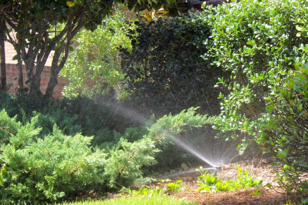 Water Your Lawn The Best (And Worst) Times