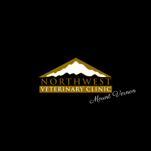 PNW Exploration EBike Rentals AZ, Bicycles, Business Directory, P