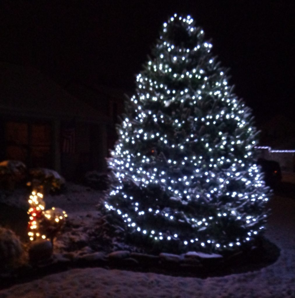 Christmas Tree Lighting A new tradition for Loveland Loveland Beacon