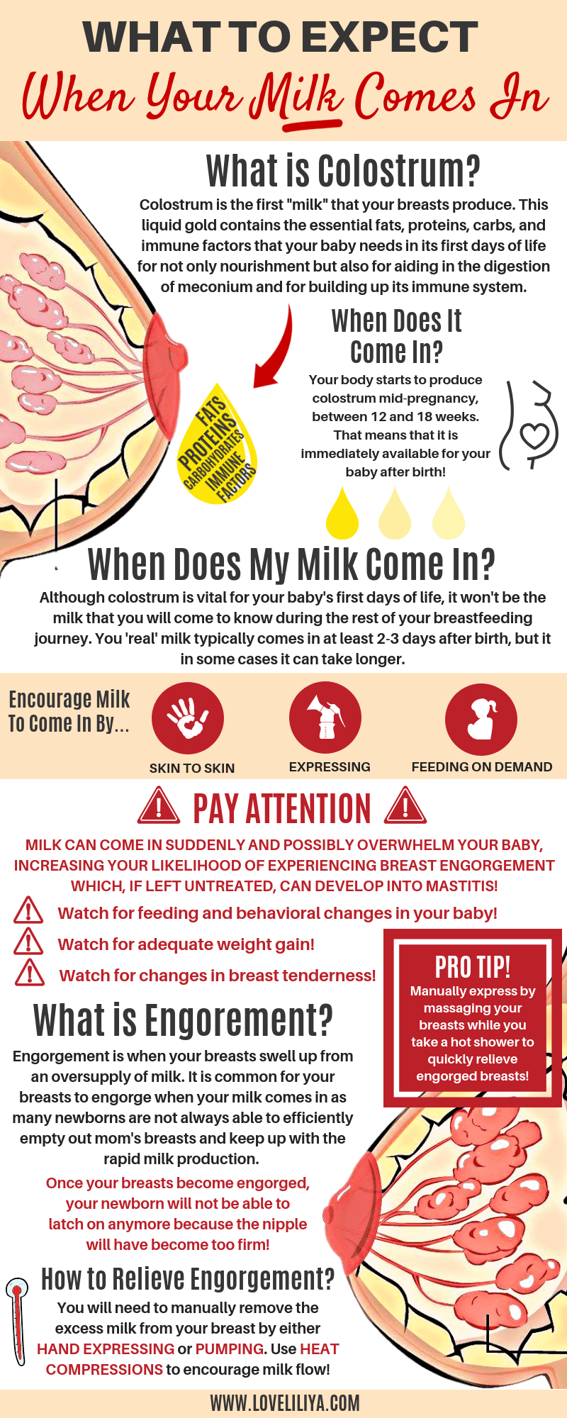 Breastfeeding First Day 2025