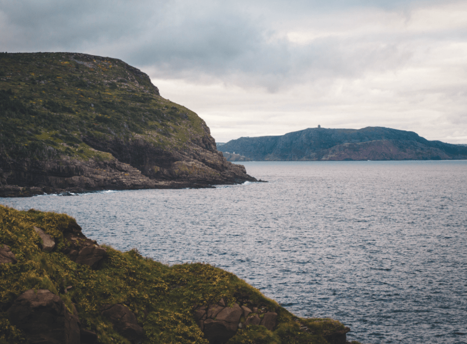 The Chamber Placentia