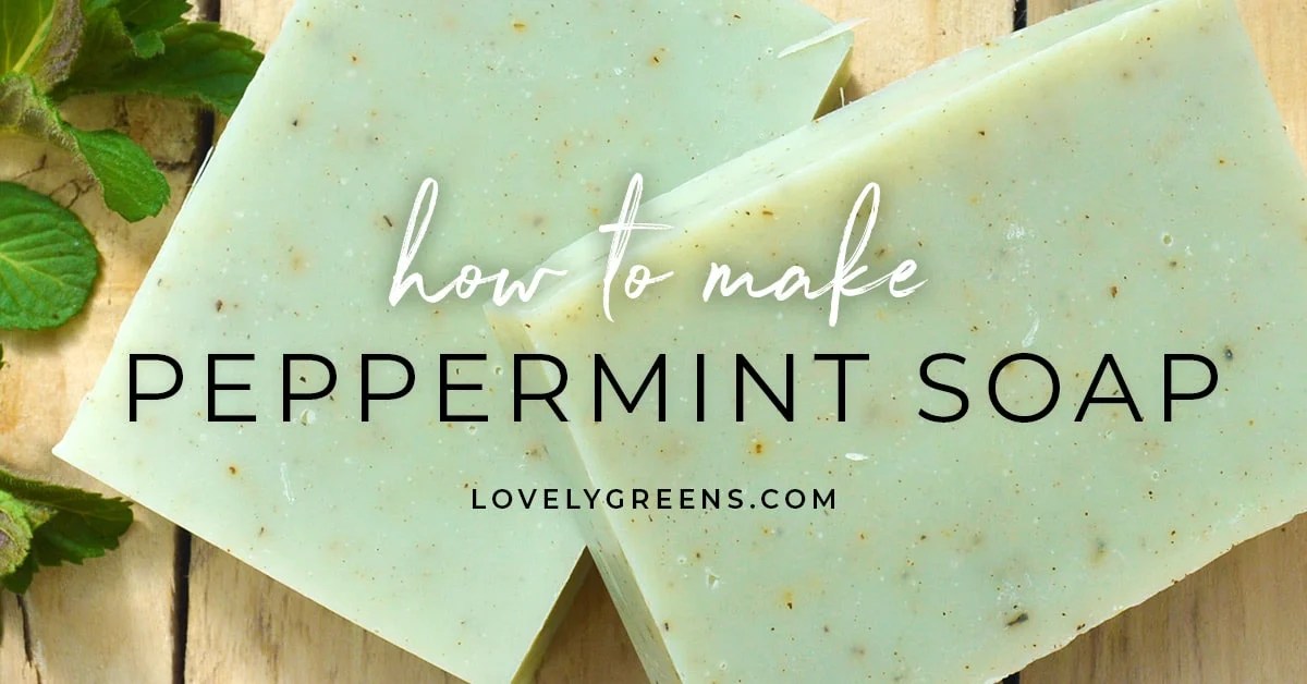 How to Make Peppermint Soap (cold process) • Lovely Greens