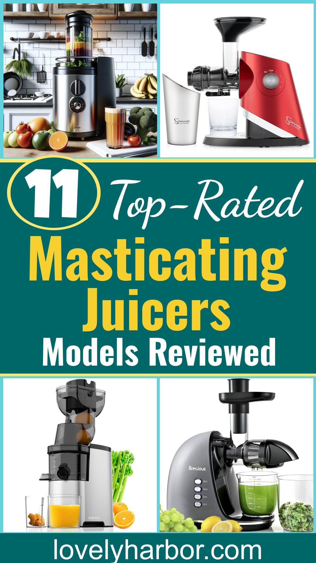 11 Best Masticating Juicers 2024 Top Models Reviewed Lovely Harbor