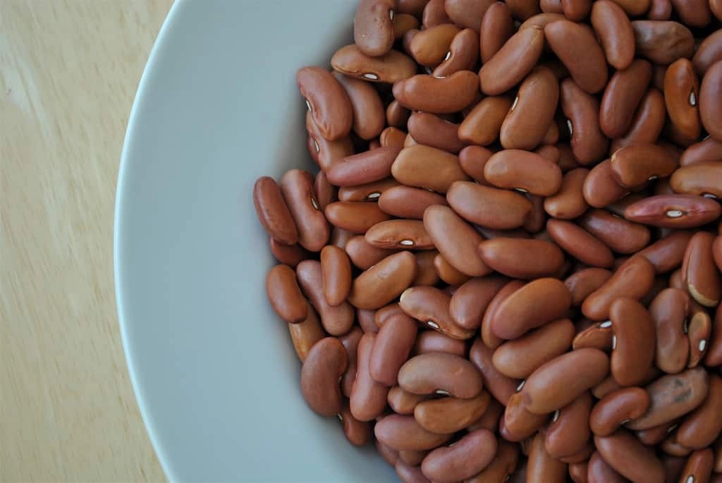 Can Dogs Eat Beans? Read Before Feeding [Easy Guide]