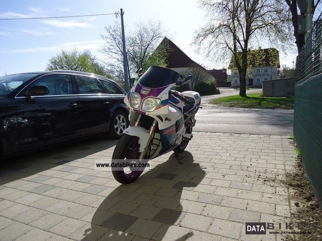 Review of Yamaha FZR 600 R 1995: pictures, live photos & description