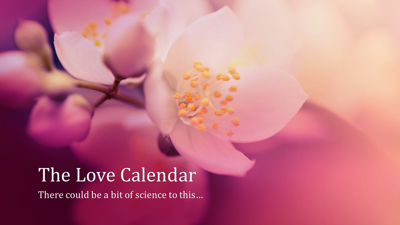 The Love Calendar Love's Perspective