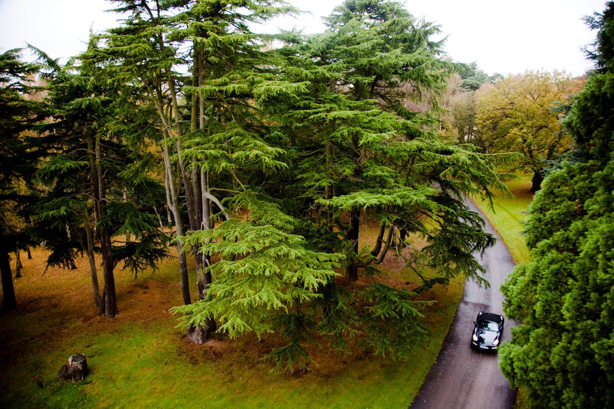 Hampton Manor Love Story Inspiration