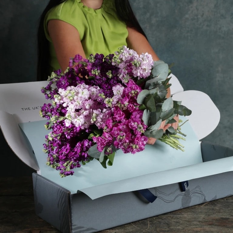 Arena Flowers Love Sub