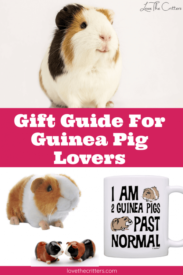 The Guinea Pig Handbook: Vanderlip D.V.M., Sharon:.