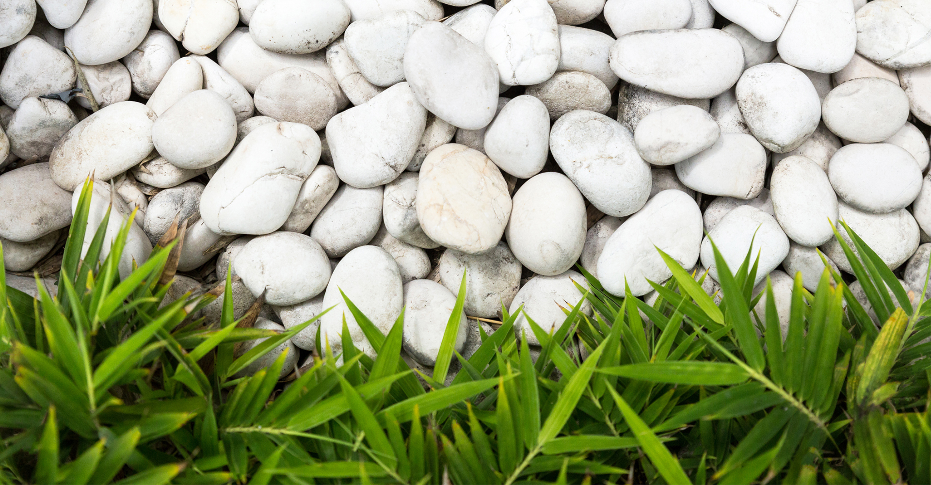 All you need to know about Mini Zen Garden Top 5 Benefits LoveZenLife