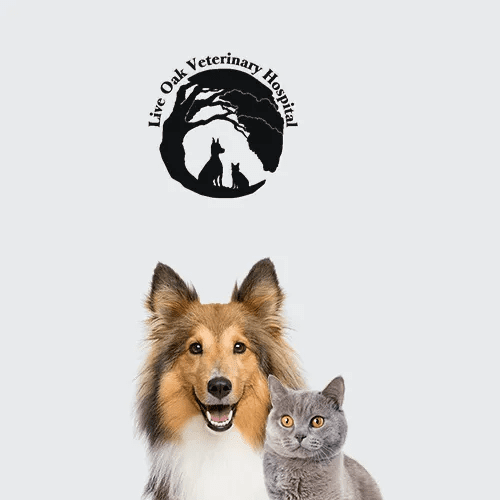 Beaufort Nc Hospital