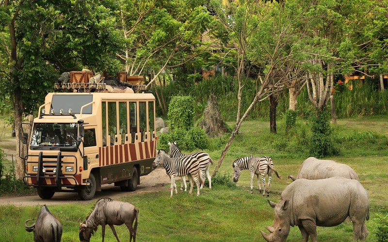 FIVE TOP RATED ZOOS IN BALI Lovina Bali Taxi Service