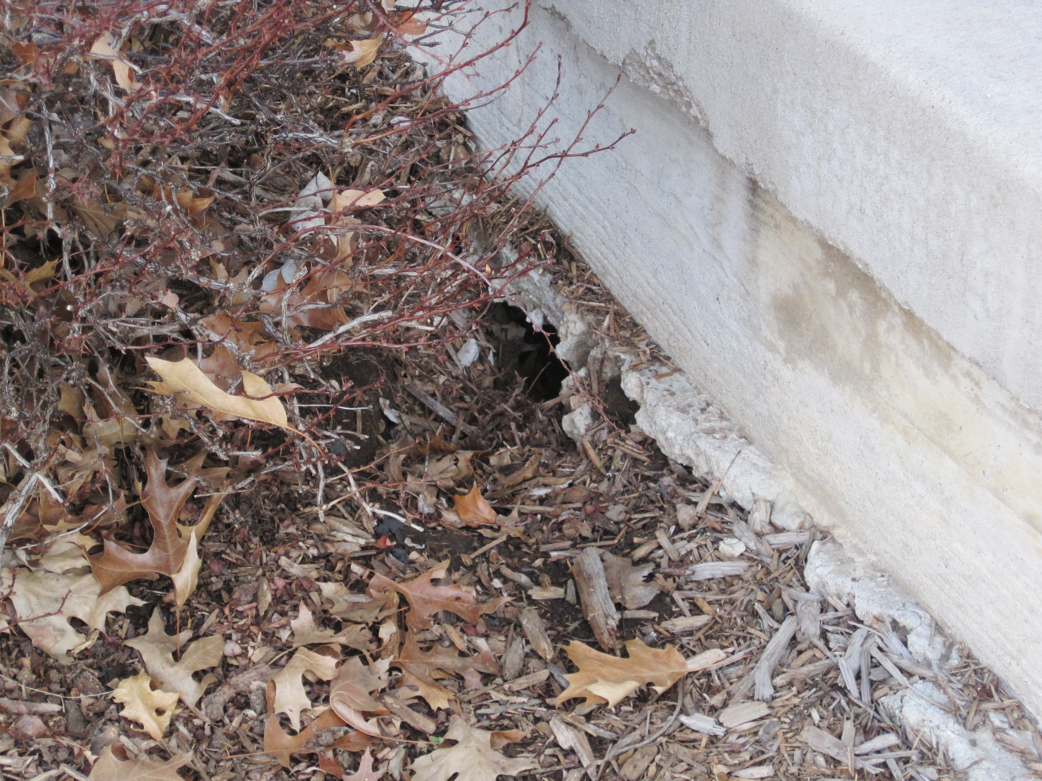 A LaborFilled Labor Day Loving Here