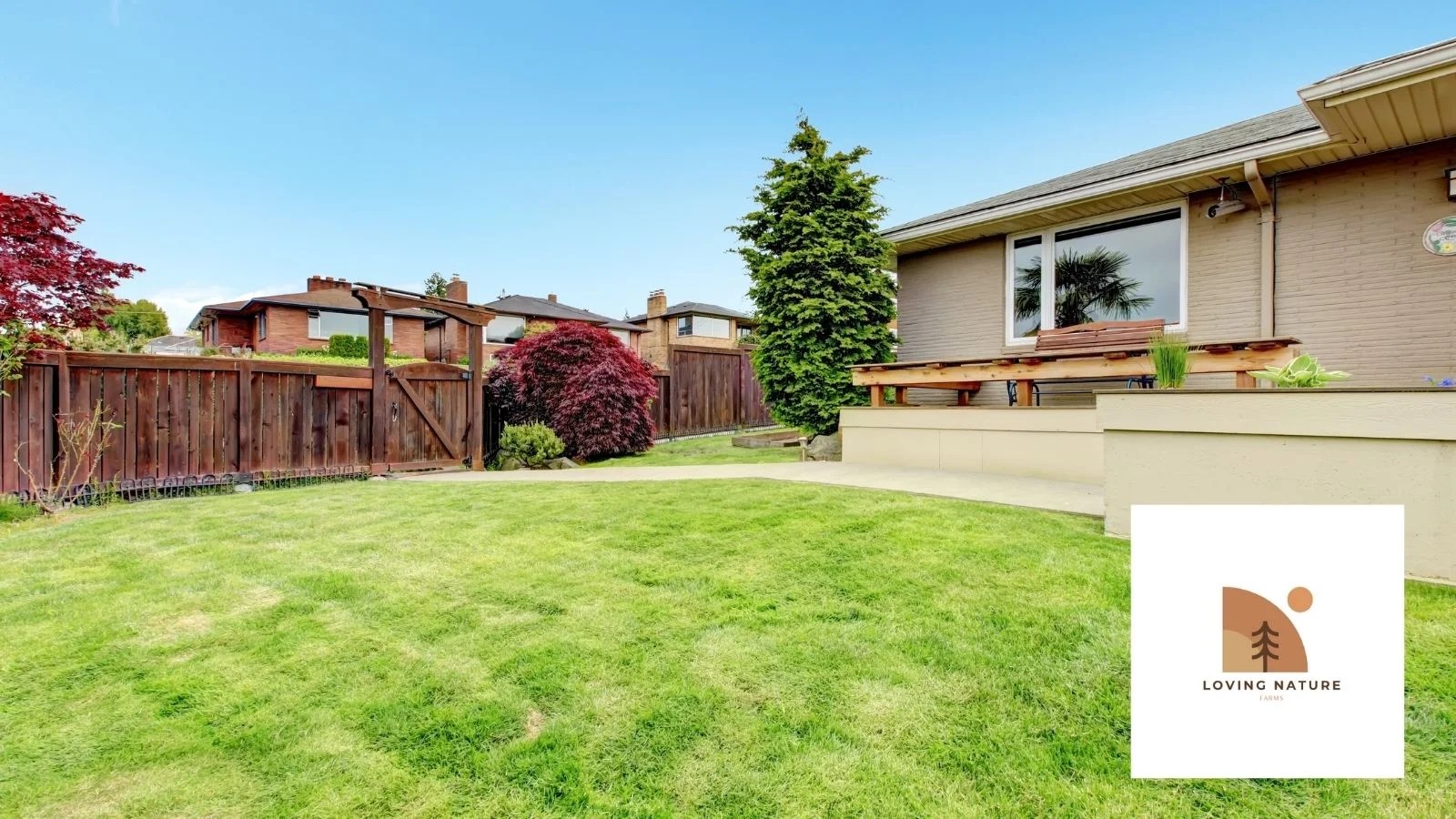 191+ Backyard Quotes And Sayings