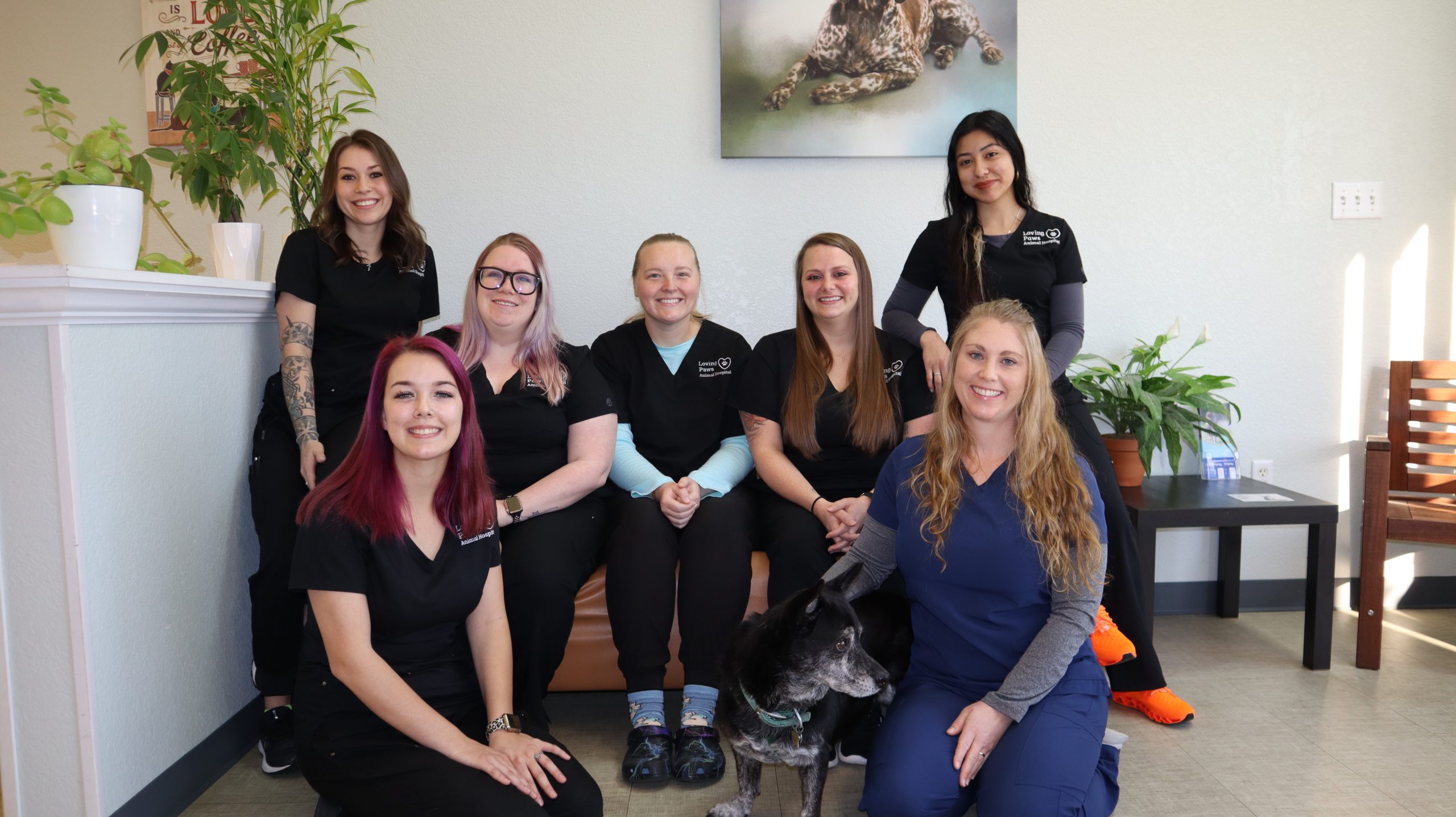 About Us Loving Paws Animal Hospital