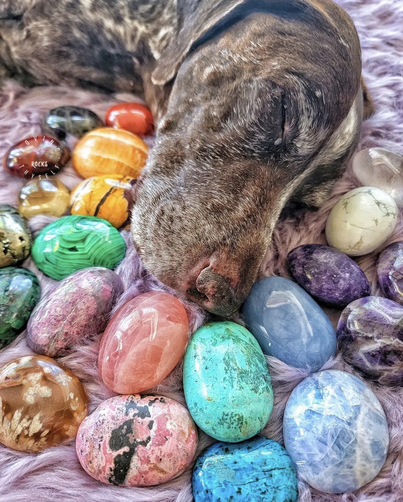 Crystal Healing for Animals lovingthyselfrocks