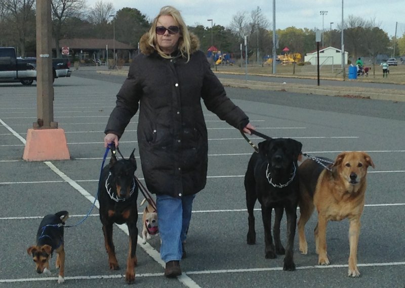 Loving Touch Pet Sitting and Dog Walking Service